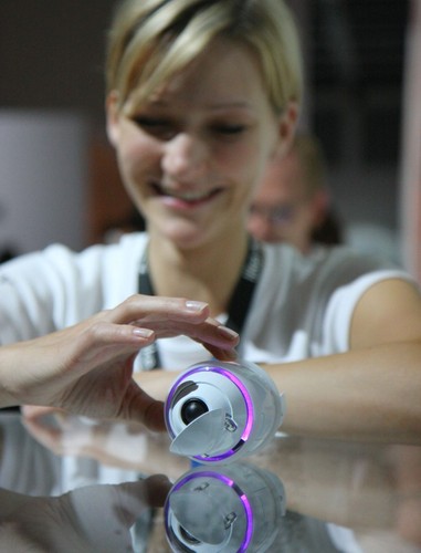 Targi trwają sześć dni i...