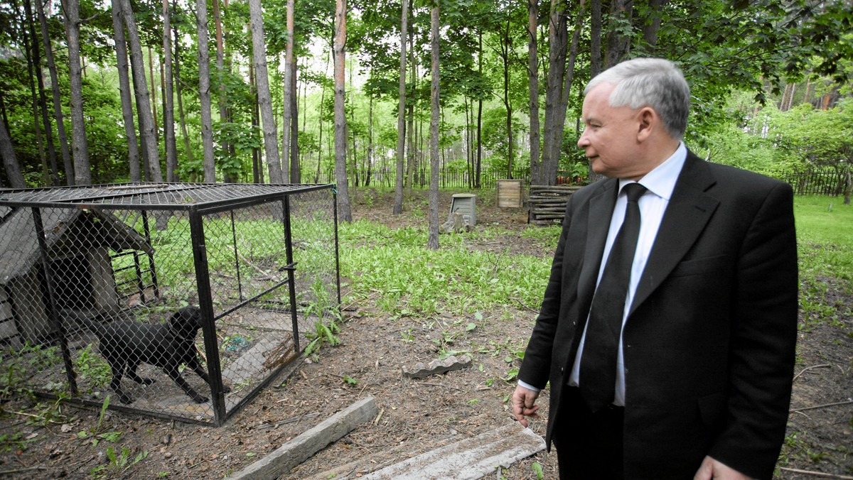 Jarosław Kaczyński obiecywał, że pomoże zwierzętom.