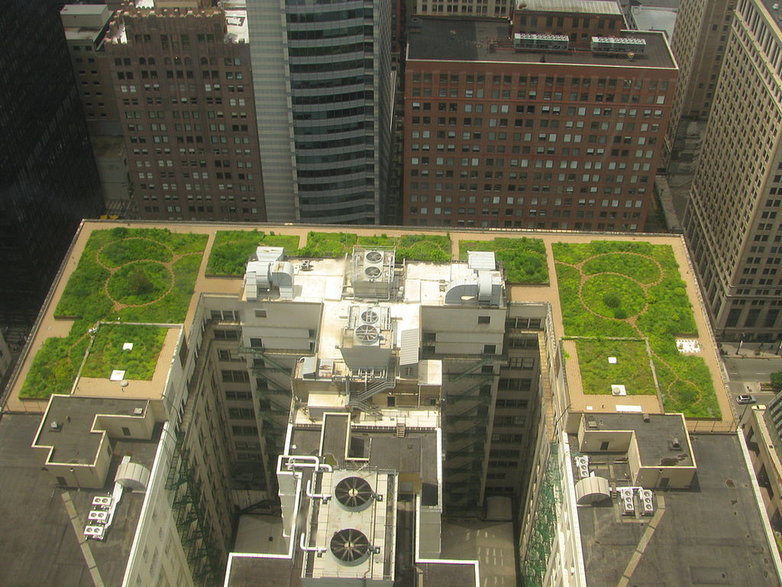 Zielone dachy na City Hall w Chicago