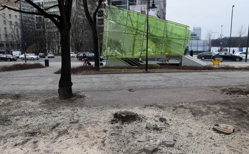 Wycinka drzew w Warszawie