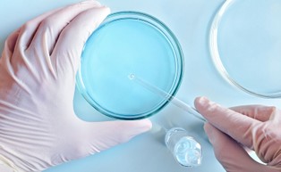 Obalili mit o przeciwdrobnoustrojowym działaniu pajęczych nici