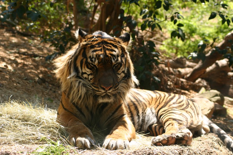 Specjaliści ci zajmują się ochroną zagrożonych gatunków zwierząt, kontrolą polowań i redukowaniem negatywnych interakcji między działalnością ludzi i dziką naturą. Choć wiele czasu spędzają w podróży, nad swoimi badaniami pracują też z domu.