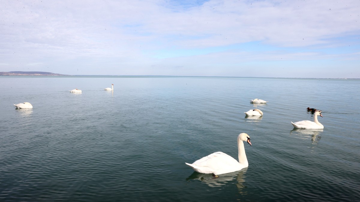 A Balatonhoz tervez nyaralást? Mutatjuk, mennyire hívogató most a víz, és ez még csak a kezdet!