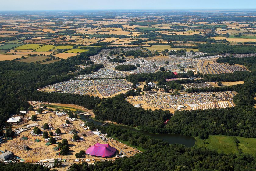 Festiwal, Latitude, owce, różowy