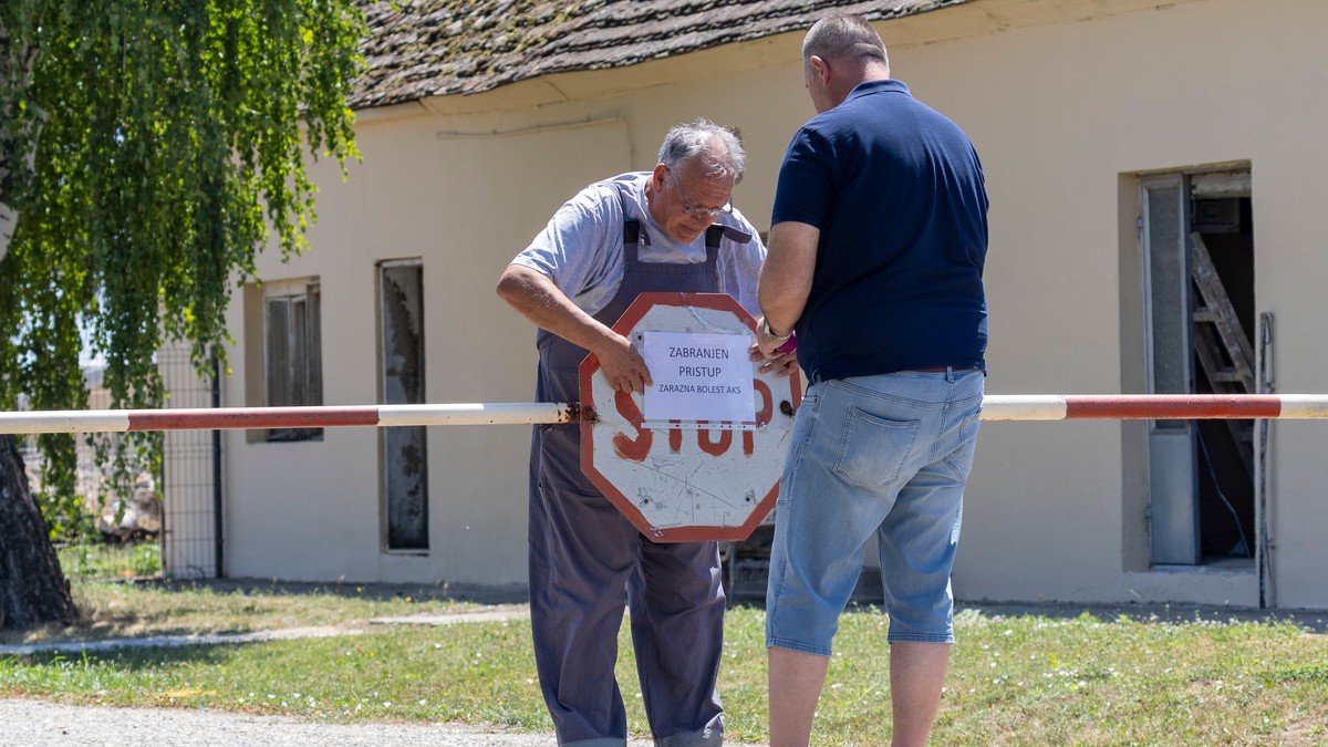 Farma svinja