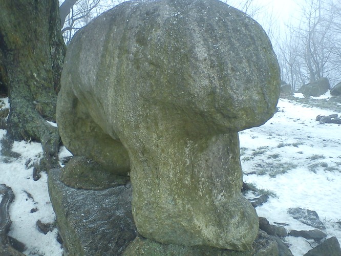 Monumentalna Ślęża pod Wrocławiem była ważnym miejscem obrządku religijnego Celtów, a potem Słowian. Do dziś zachowały się na niej liczne posągi, a wiele grup neopogańskich organizuje swoje obrzędy właśnie tu.