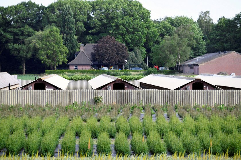 FILE PHOTO: A mink farm is seen during the coronavirus disease (COVID-19) outbreak in Oploo