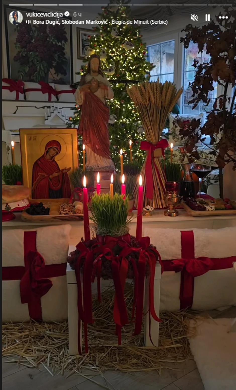 Lidija Vukićević stan