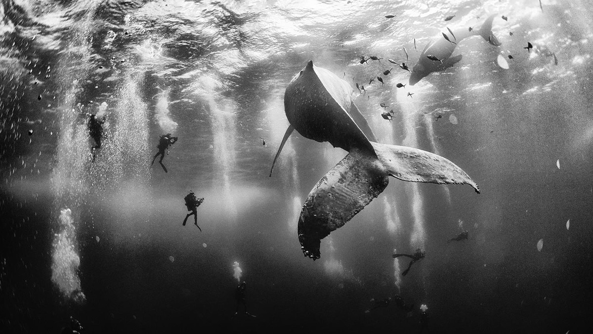 Anuar Patjane,  National Geographic Traveler Photo