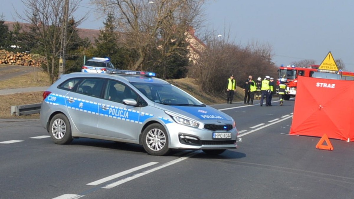 Mundurowi zamieścili w sieci apel, w którym proszą o zgłaszanie się świadków niedawnego wypadku niedaleko miejscowości Zawały. W wyniku potrącenia przez tira zginęły tam dwie osoby: 37-letnia kobieta oraz jej siedmioletni syn.