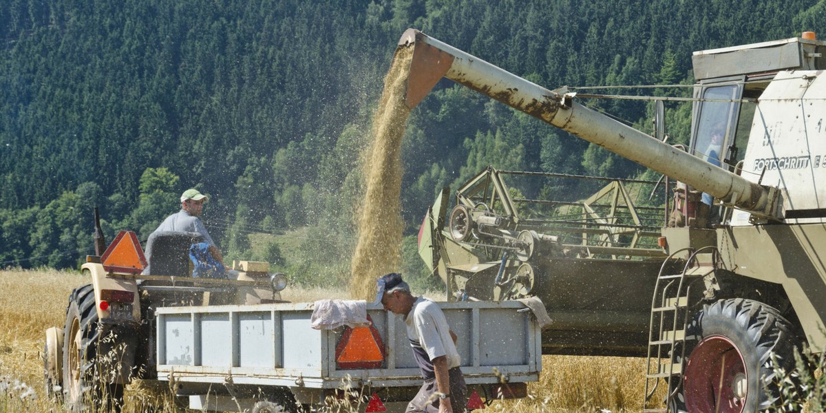 W dekadę w UE zniknęły 3 mln gospodarstw rolnych.