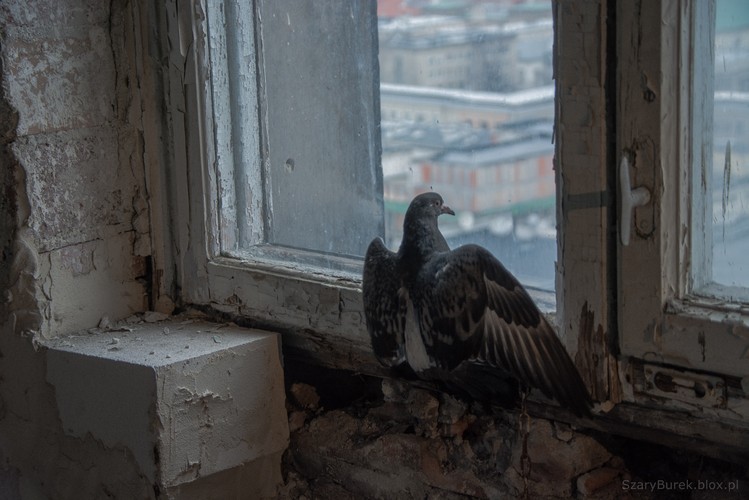 Warszawski wieżowiec Prudential od środka