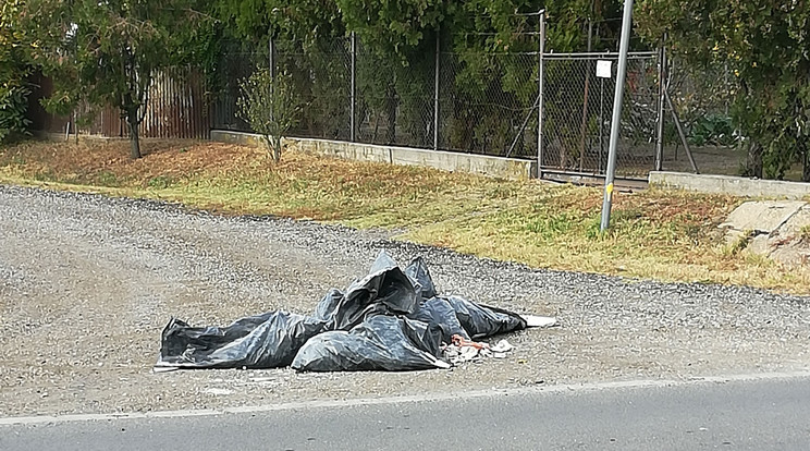 Sitt, ami csak úgy ott termett / Fotó: Olvasónk