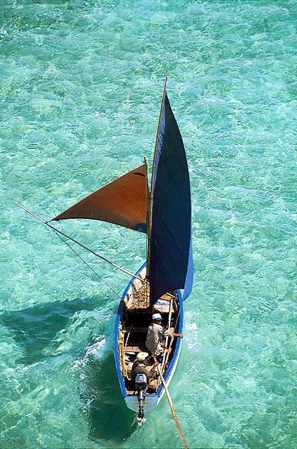 Galeria Mauritius - egzotyczna mieszanka, obrazek 17