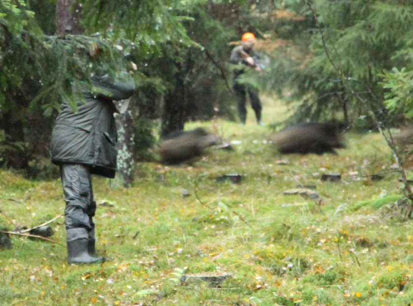 Nie chcą uczestniczyć w "masakrze". Szokujące plany ministerstwa