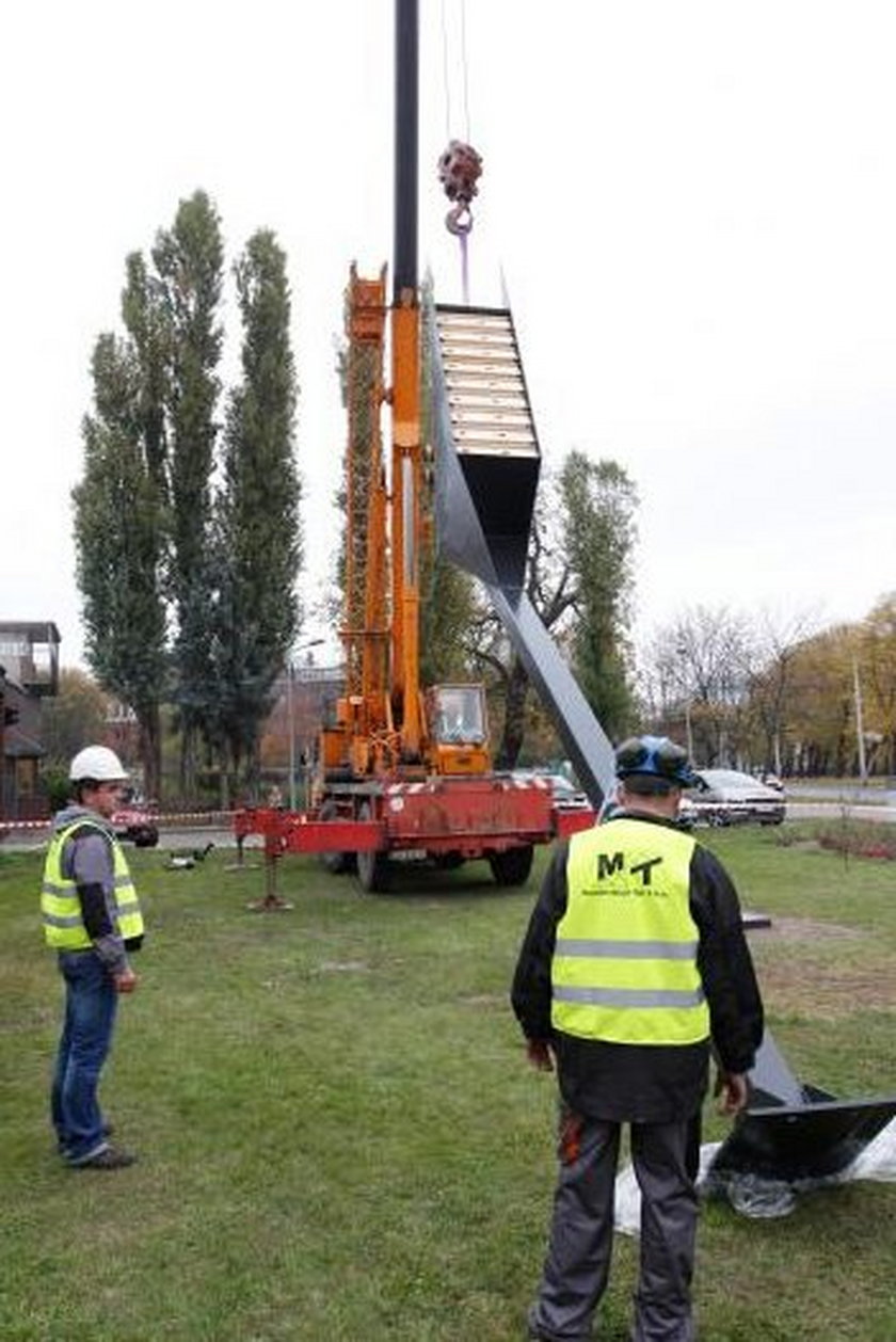 W Gdańsku stanęły wieże lęgowe dla jerzyków