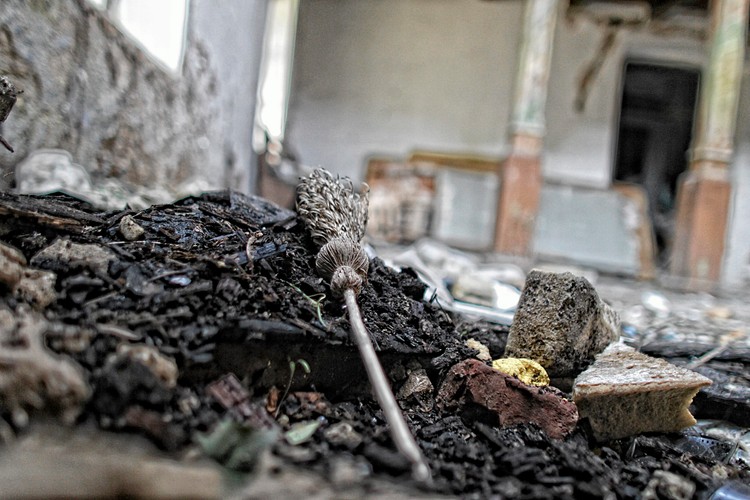 Sosnowiec. Opuszczona kaplica w dzielnicy Milowice wykorzystywana przez lata jako magazyn sklepu