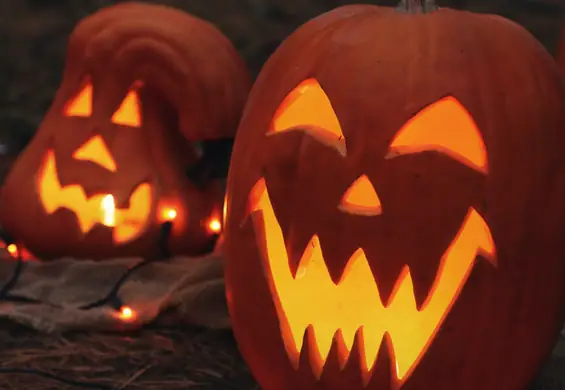 Czym wyciąć dynię na Halloween? Ten wykrawacz za 10 zł robi cuda i nie rdzewieje