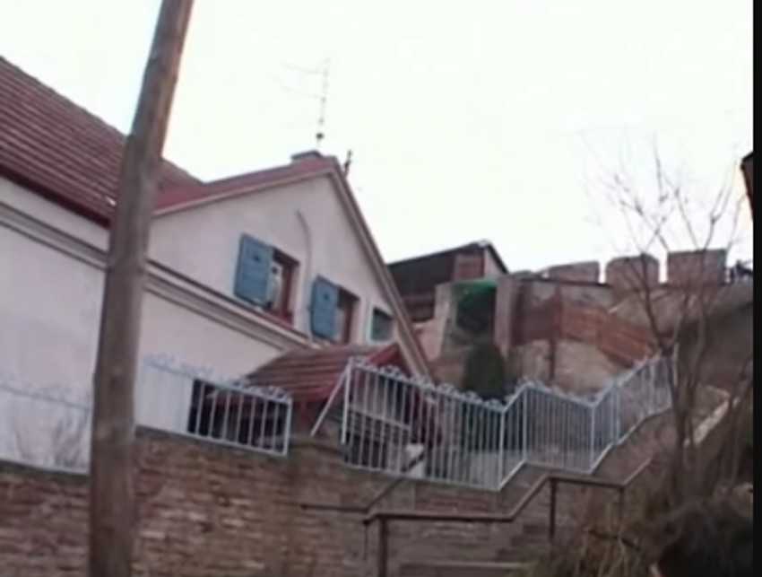 Kuća Gagija Jovanovića i Branke Pujić u Zemunu