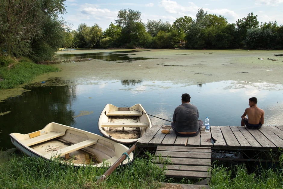 Borča poznata i po pecarošima