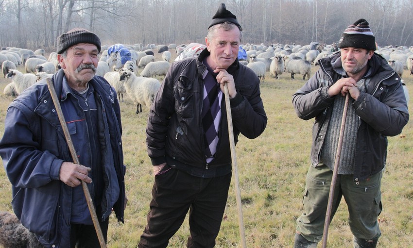 Nomadi sa Vlašića u okolini Laktaša