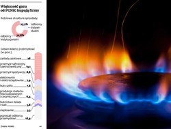 Przedsiębiorcy szykują się na grupowe zakupy gazu