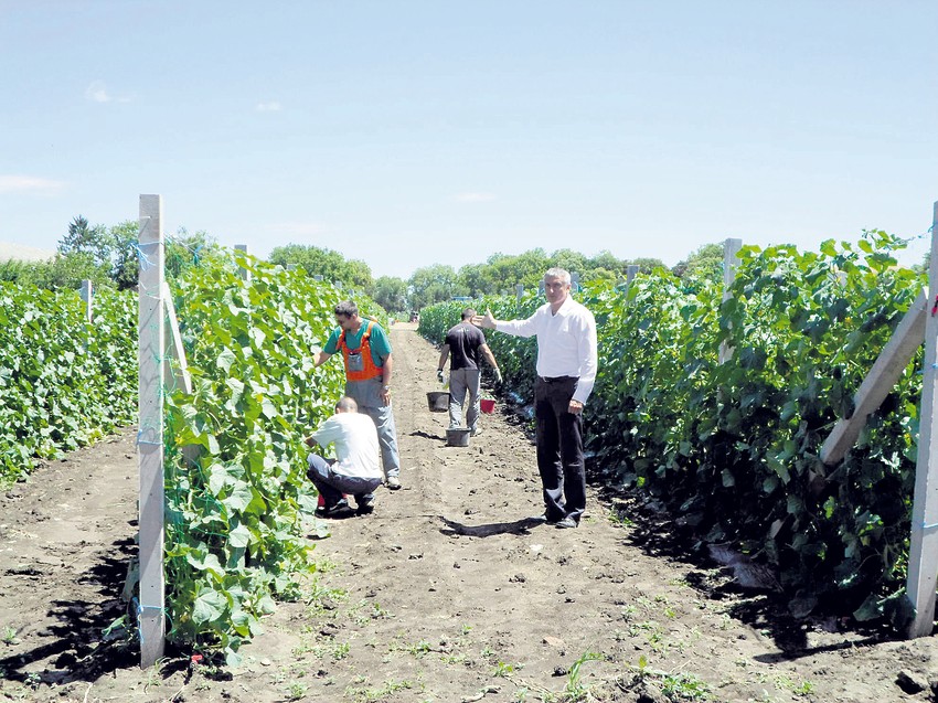 Svaki dan radi po 50 osuđenika, a plan je da ih bude angažovano još 200