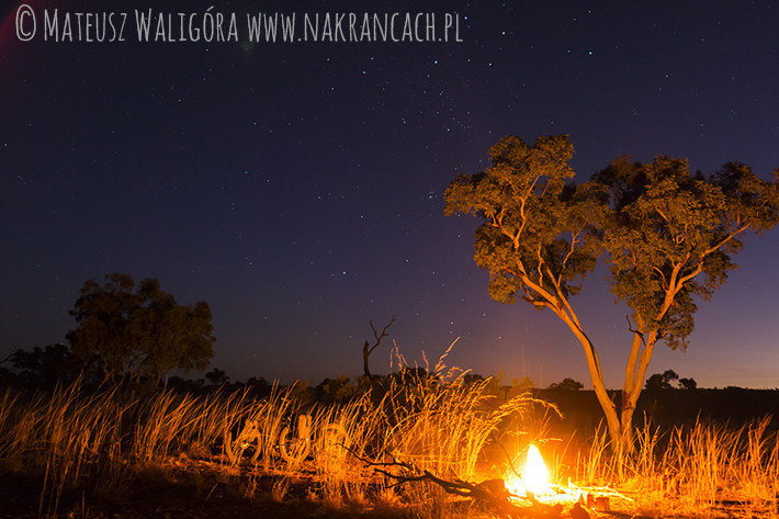 Australijski outback