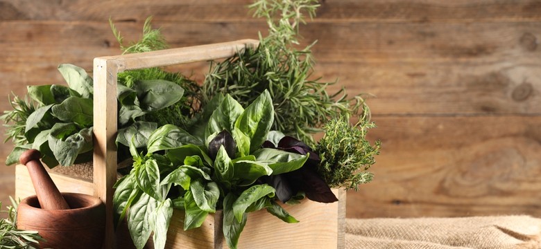 QUIZ o ziołach. Majeranek, lubczyk, szałwia, rumianek.. 10/10 dla zaawansowanych