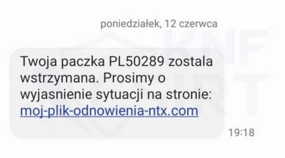  Wiadomość sms mająca podszywać się pod Netflix.