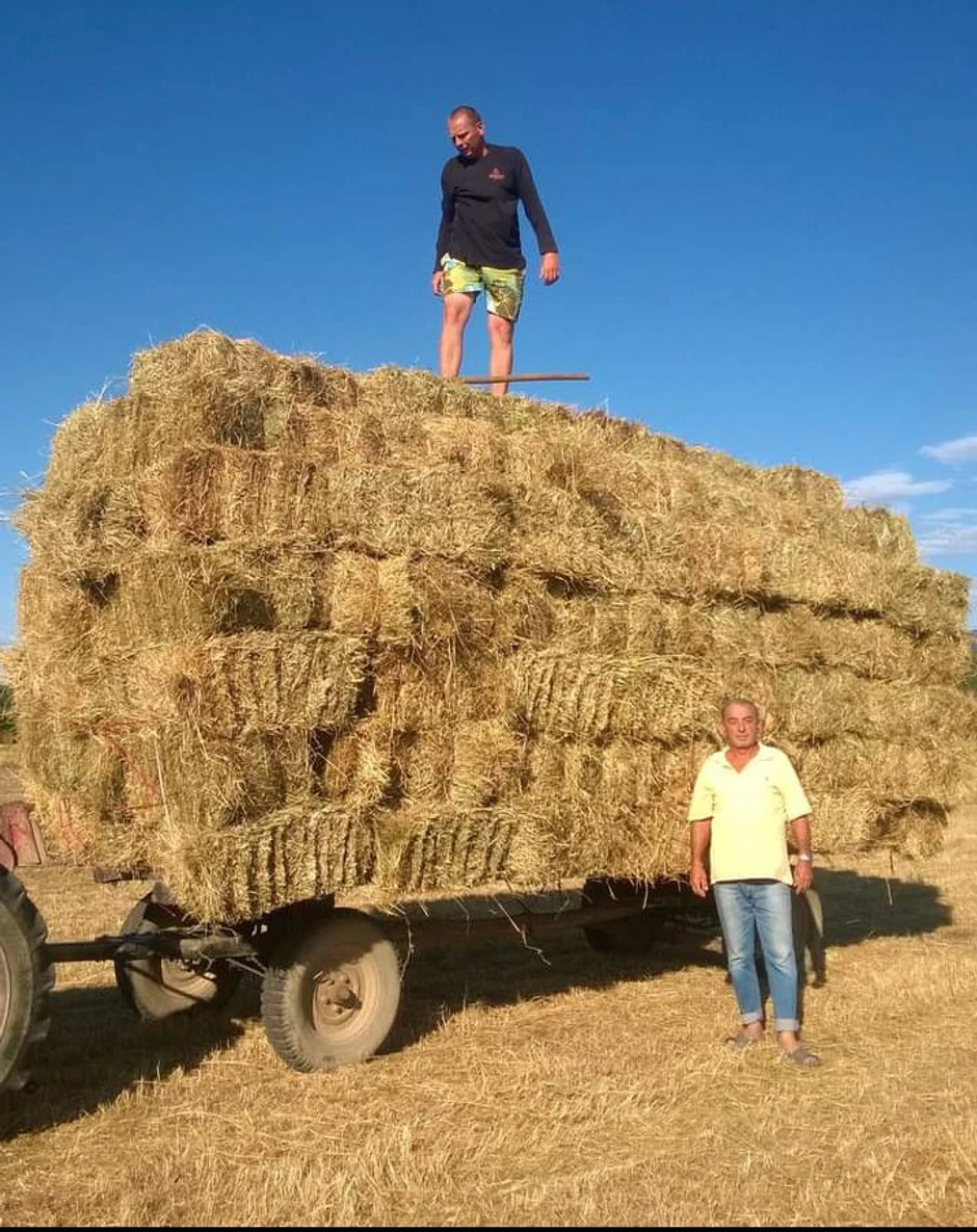 Ovo domaćinstvo u vlasništvu je Tamare Vujić