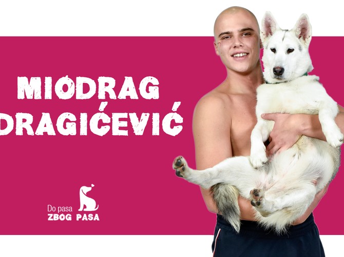 Miodrag Dragičević