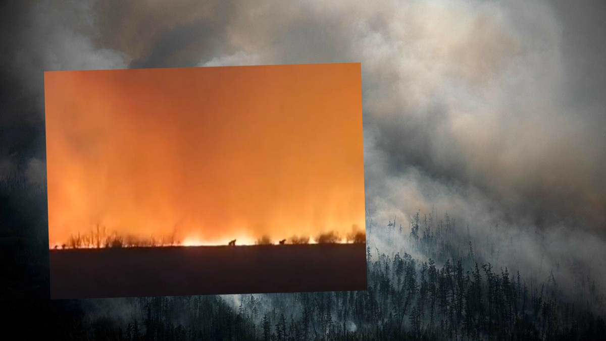 Gigantyczne pożary "mogą uratować Ukrainę". "Co wybierze Putin?"