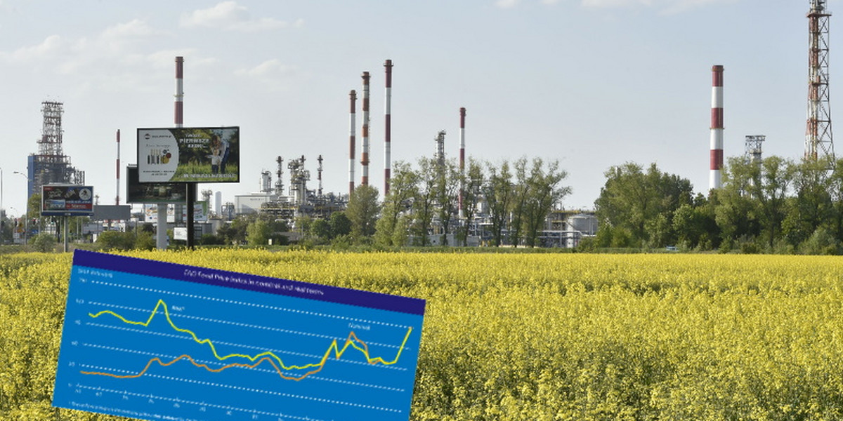 Ceny biopaliw idą w górę i sprzyjają wzrostom cen żywności na światowych rynkach