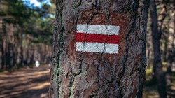 W Mławie powstanie szlak walk wrześniowych 1939 r.