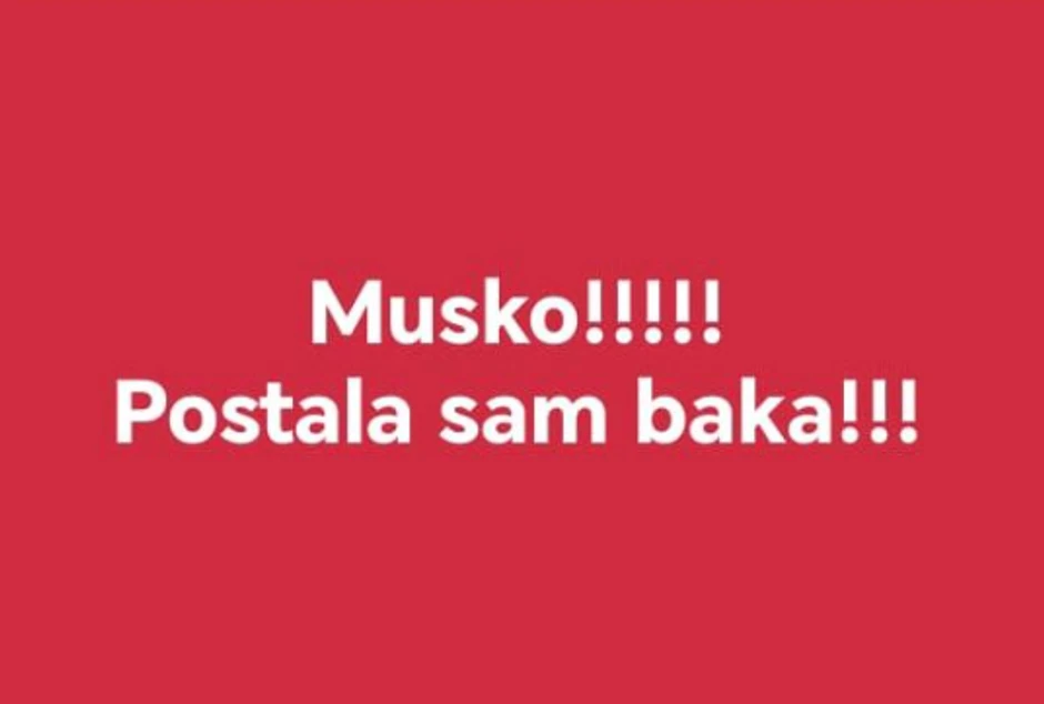 Slađana Nejdanović, objava