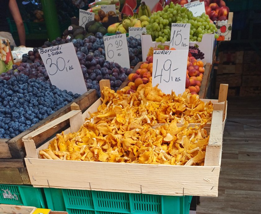Kurki nadal drogie.