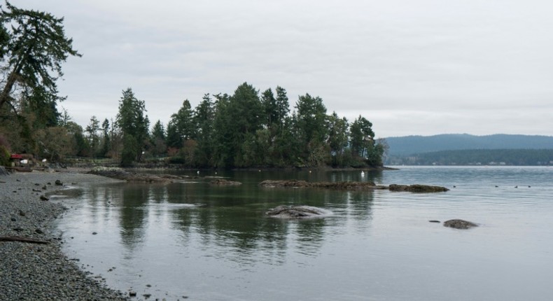 Tall trees shield the view of Meghan and Harry's temporary estate in Vancouver Island, British Columbia, Canada