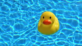 Mit einem Frame Pool schnell und einfach zum Badespaß im Garten