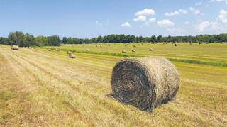 Atrakcyjne kredyty dla rolników w PKO Banku Polskim