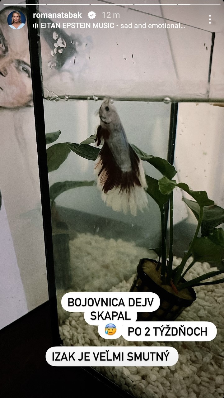 Romane Tabák zomrela rybka.