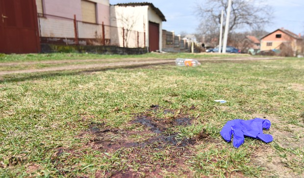 čortanovci ubistvo iz ljubomore