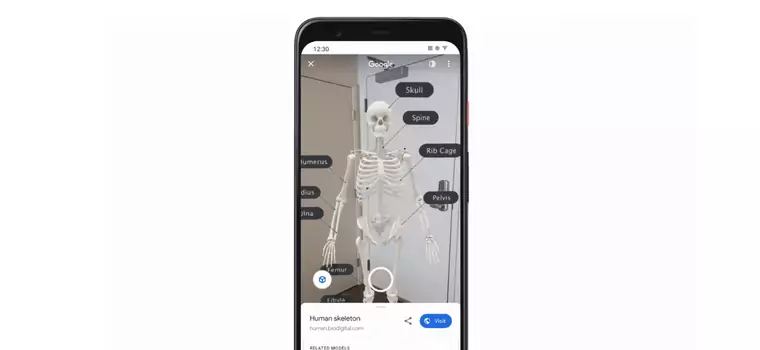 Google wprowadza szereg nowości do wyszukiwarki. Bazują na technologii AR