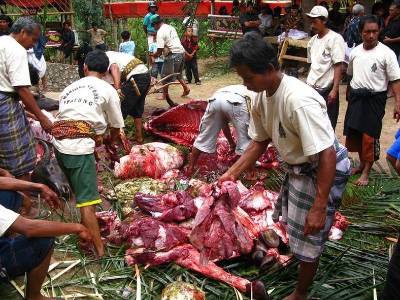 Sulawesi. Po chwili zamiast zwierząt mieliśmy góry mięsa.