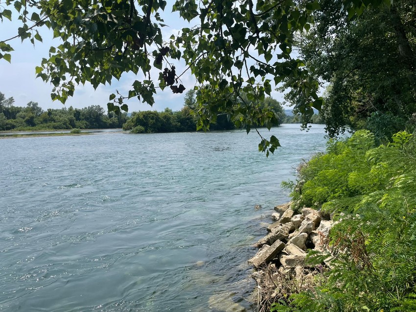 Reka Drina