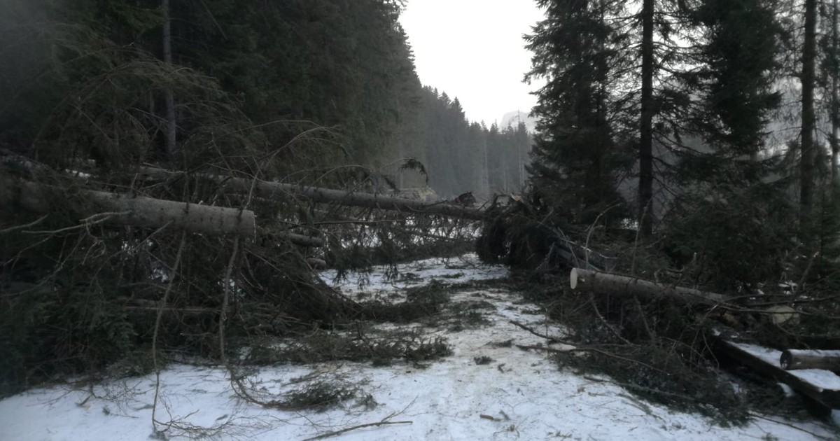 Zakopane: Tatrzański Park Narodowy wstrzymał sprzedaż biletów - Wiadomości