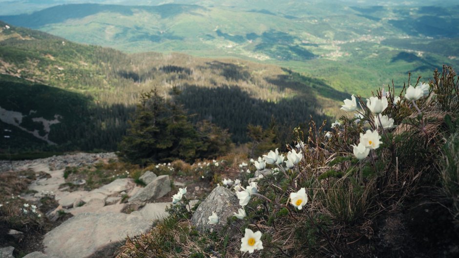 Babia Góra