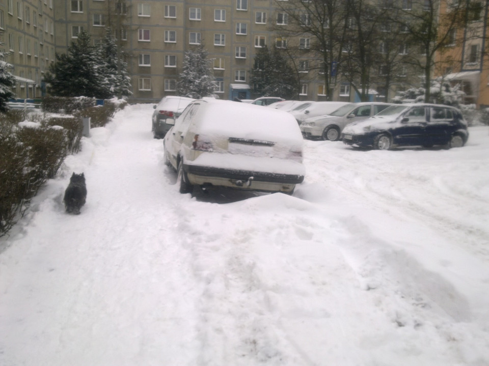 Tarnowskie Góry po opadach śniegu, Fot. MEGAN42/Daj znać!