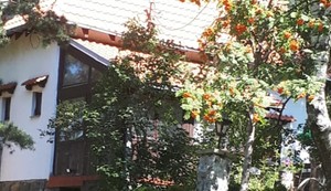 Vesna Čipčić, vikendica