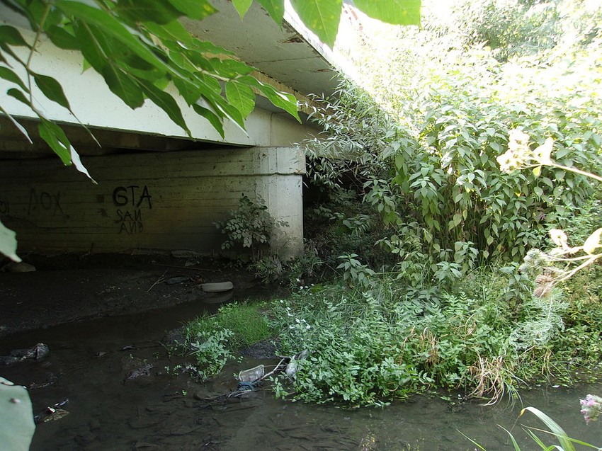 Most preko reke Gruševska, gde je nađeno telo Elene Zakotnove 24. decembra